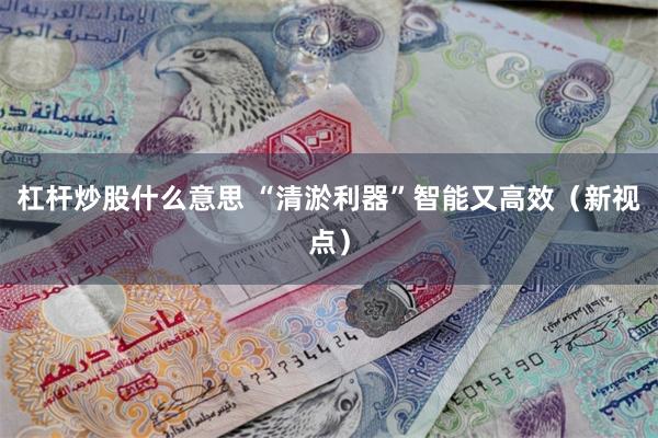 杠杆炒股什么意思 “清淤利器”智能又高效（新视点）