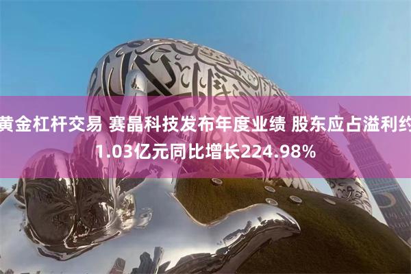 黄金杠杆交易 赛晶科技发布年度业绩 股东应占溢利约1.03亿元同比增长224.98%