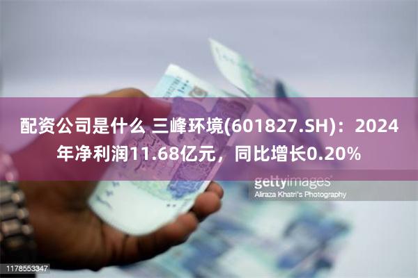 配资公司是什么 三峰环境(601827.SH)：2024年净利润11.68亿元，同比增长0.20%