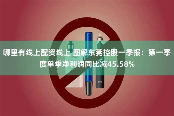 哪里有线上配资线上 图解东莞控股一季报：第一季度单季净利润同比减45.58%
