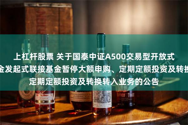 上杠杆股票 关于国泰中证A500交易型开放式指数证券投资基金发起式联接基金暂停大额申购、定期定额投资及转换转入业务的公告