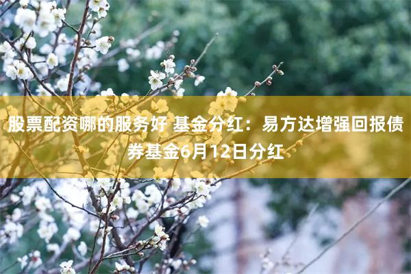 股票配资哪的服务好 基金分红：易方达增强回报债券基金6月12日分红