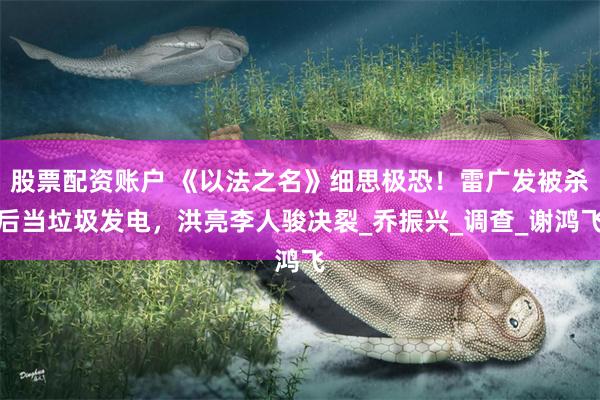 股票配资账户 《以法之名》细思极恐！雷广发被杀后当垃圾发电，洪亮李人骏决裂_乔振兴_调查_谢鸿飞